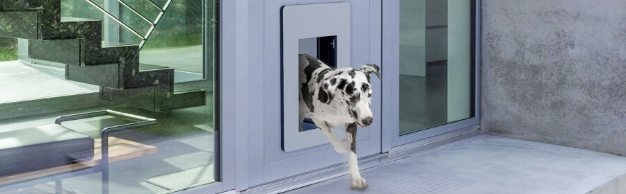 Puertas para perros: Comparativa y mejores ofertas